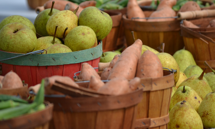 Farmer's Market