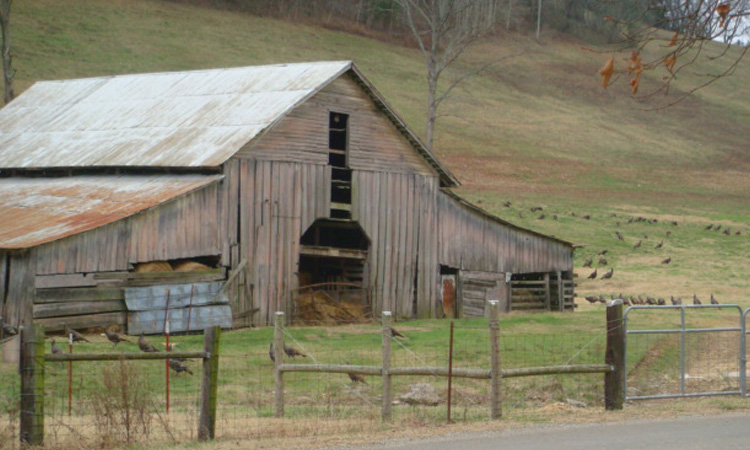 Barn