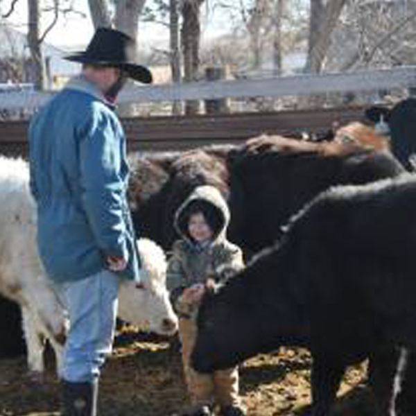 Heifers for South Dakota